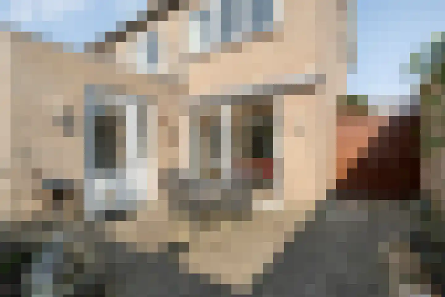 E E G laan 8 Coevorden thumbnail 36