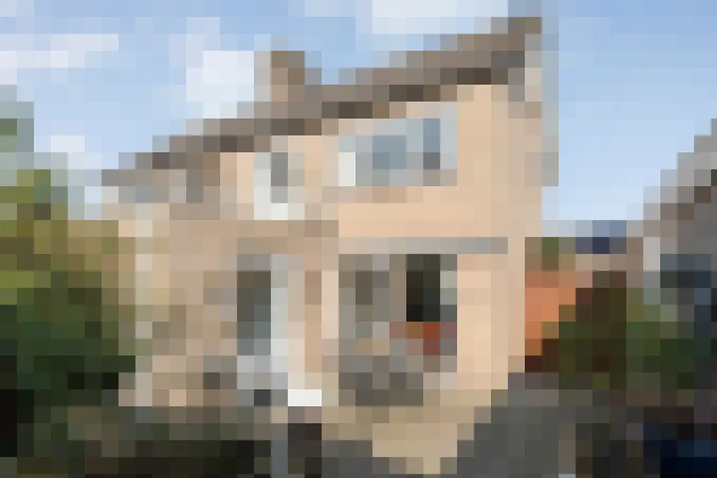 E E G laan 8 Coevorden thumbnail 39