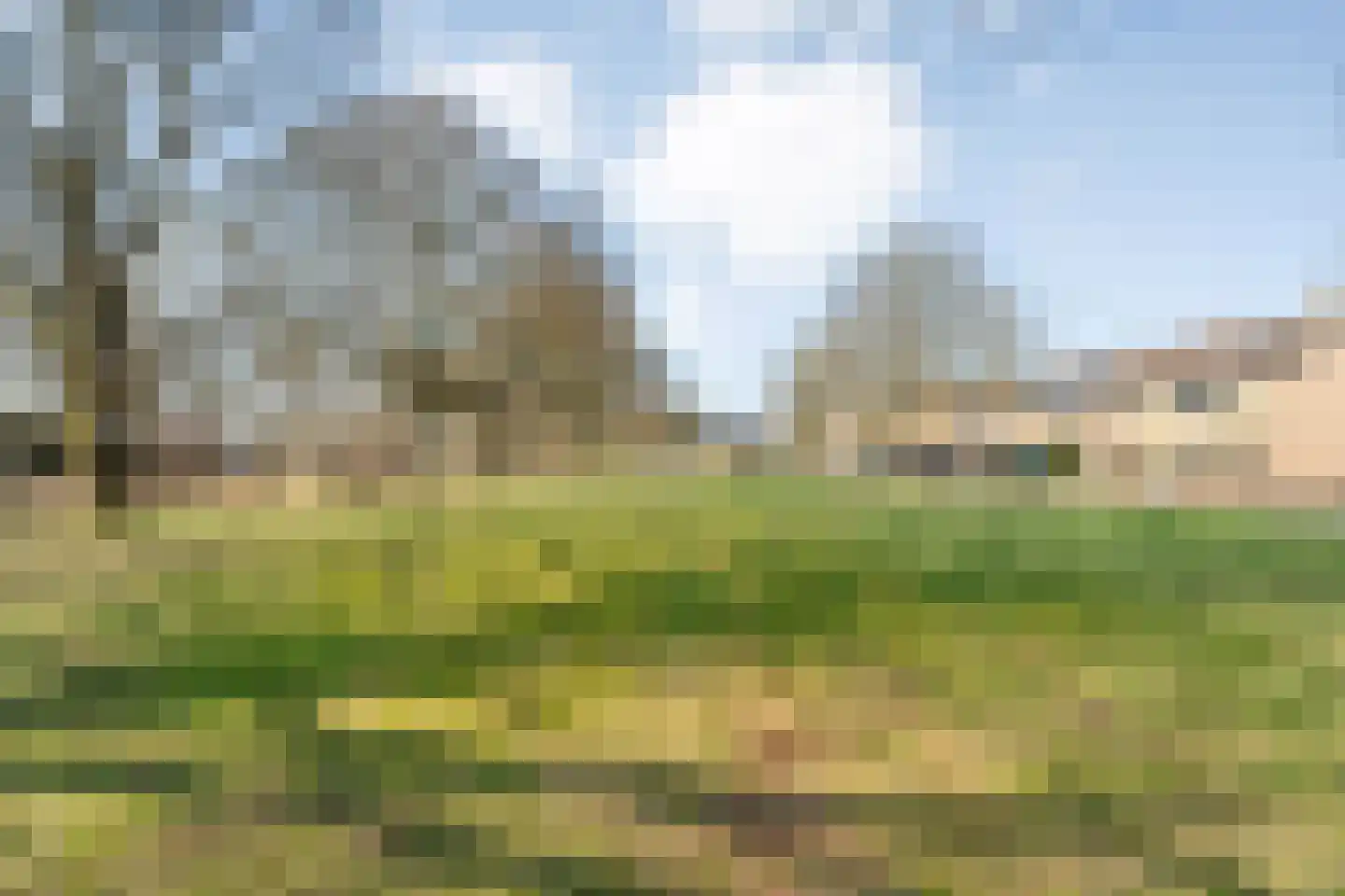 E E G laan 8 Coevorden thumbnail 41