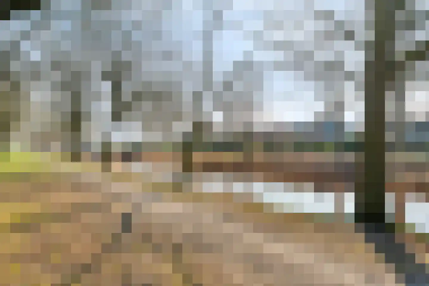 E E G laan 8 Coevorden thumbnail 42