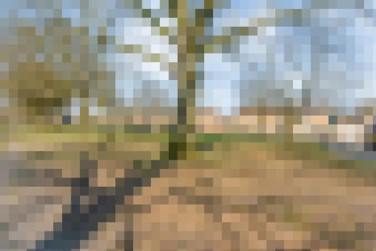 E E G laan 8 Coevorden thumbnail 43