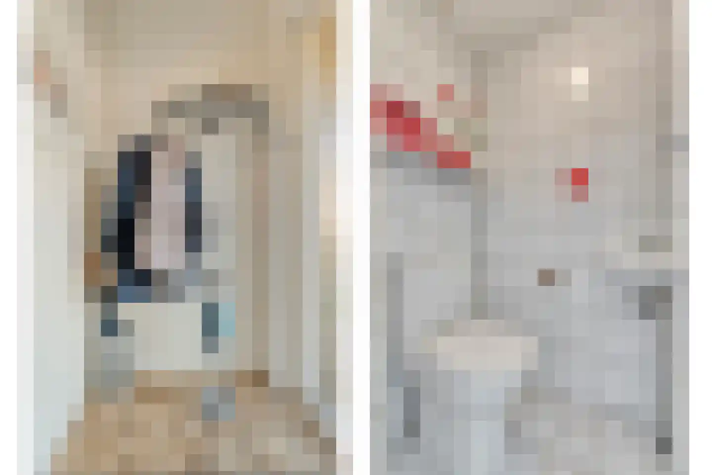 E E G laan 8 Coevorden thumbnail 6