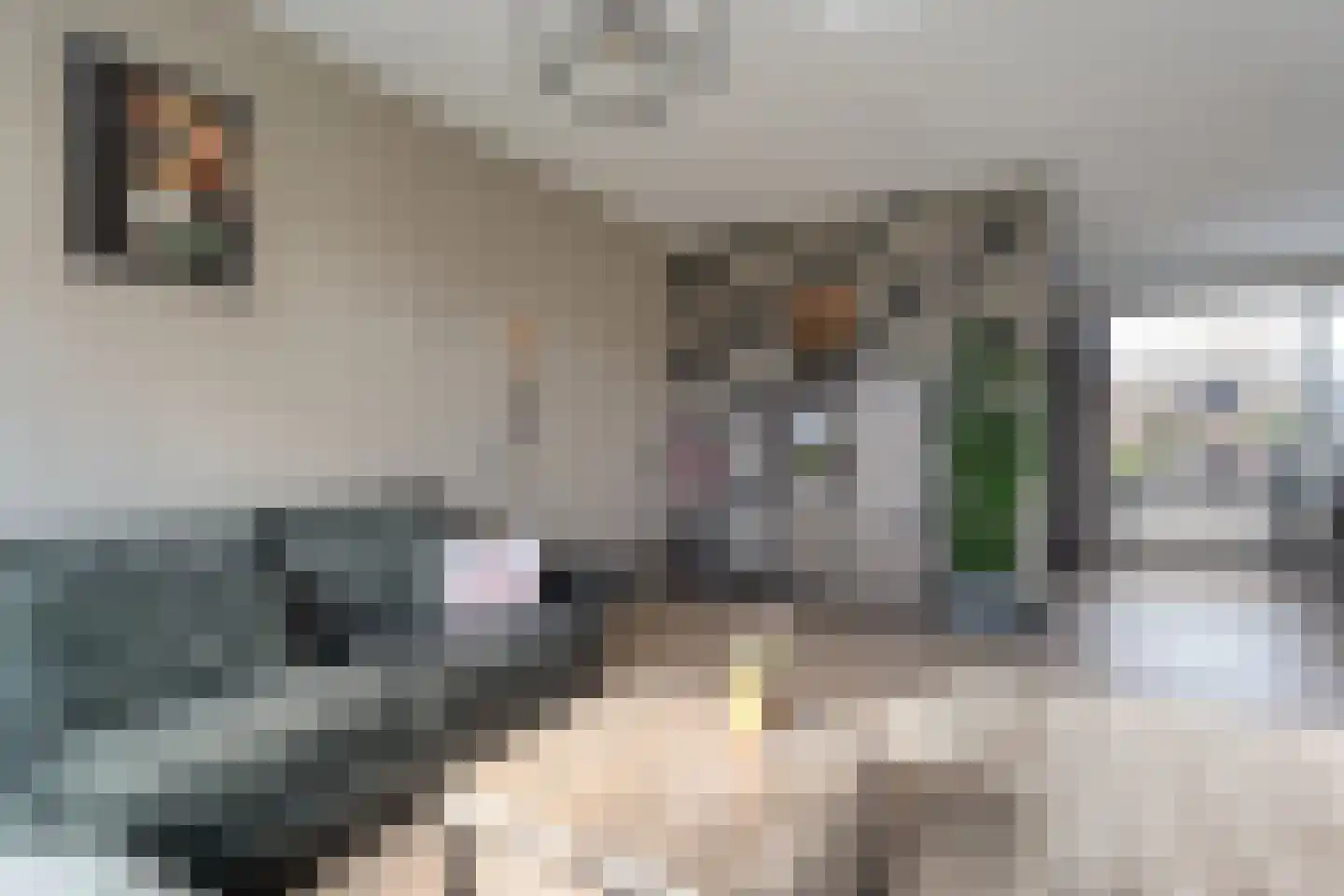 E E G laan 84 Coevorden thumbnail 13