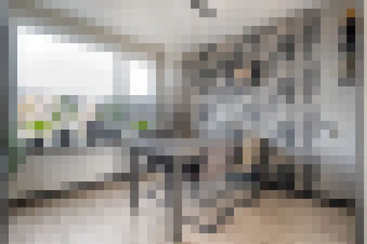 E E G laan 84 Coevorden thumbnail 15