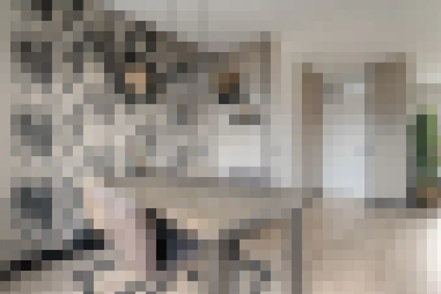 E E G laan 84 Coevorden thumbnail 17