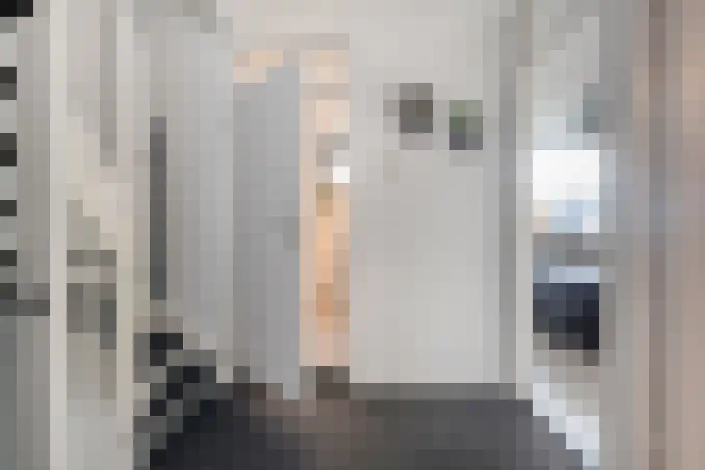 E E G laan 84 Coevorden thumbnail 22