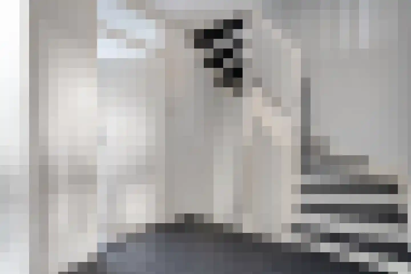 E E G laan 84 Coevorden thumbnail 23