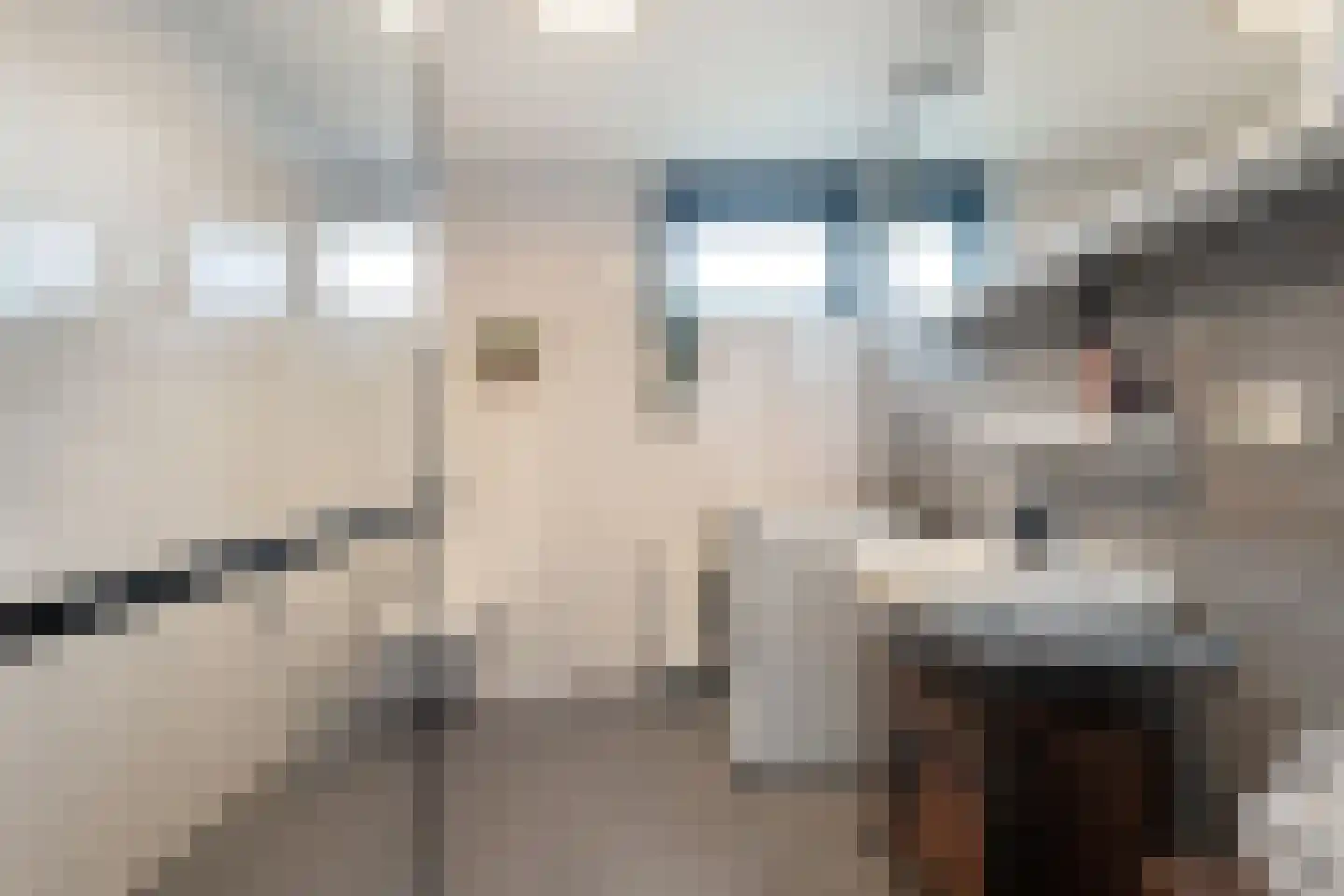E E G laan 84 Coevorden thumbnail 30
