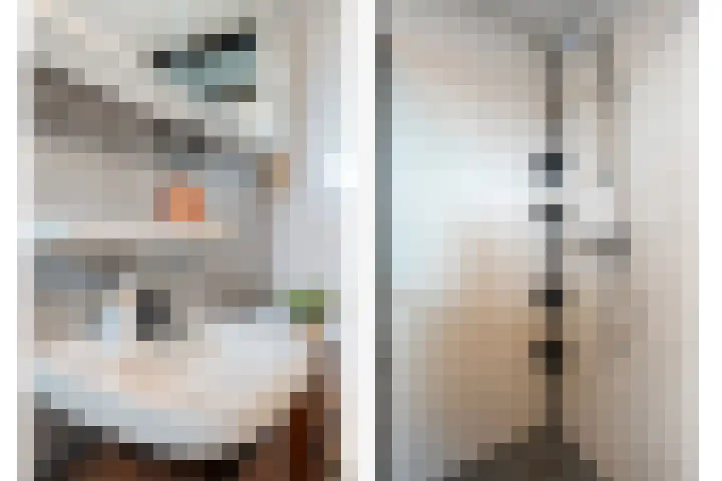 E E G laan 84 Coevorden thumbnail 31