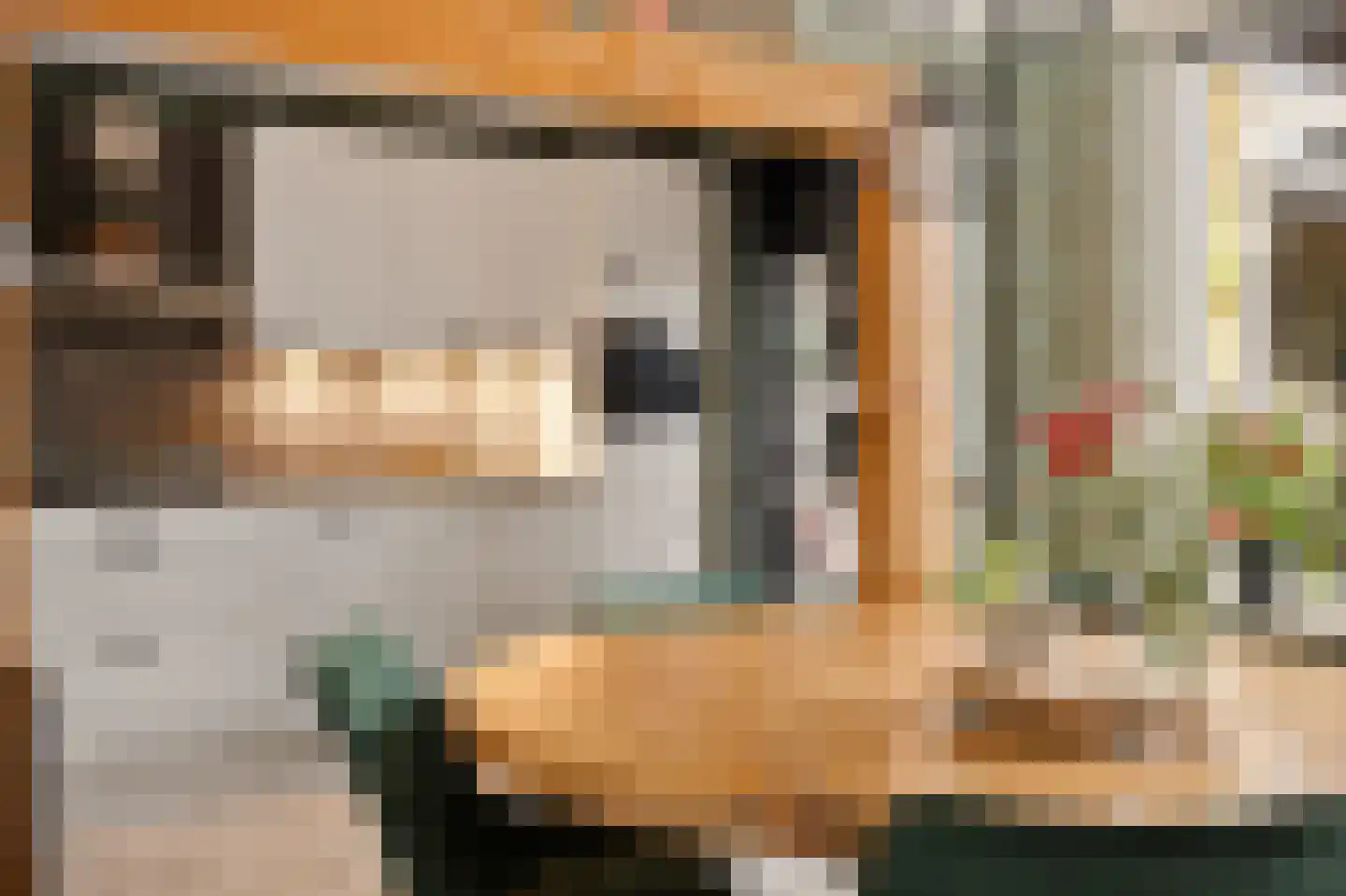 E E G laan 9 Coevorden thumbnail 10