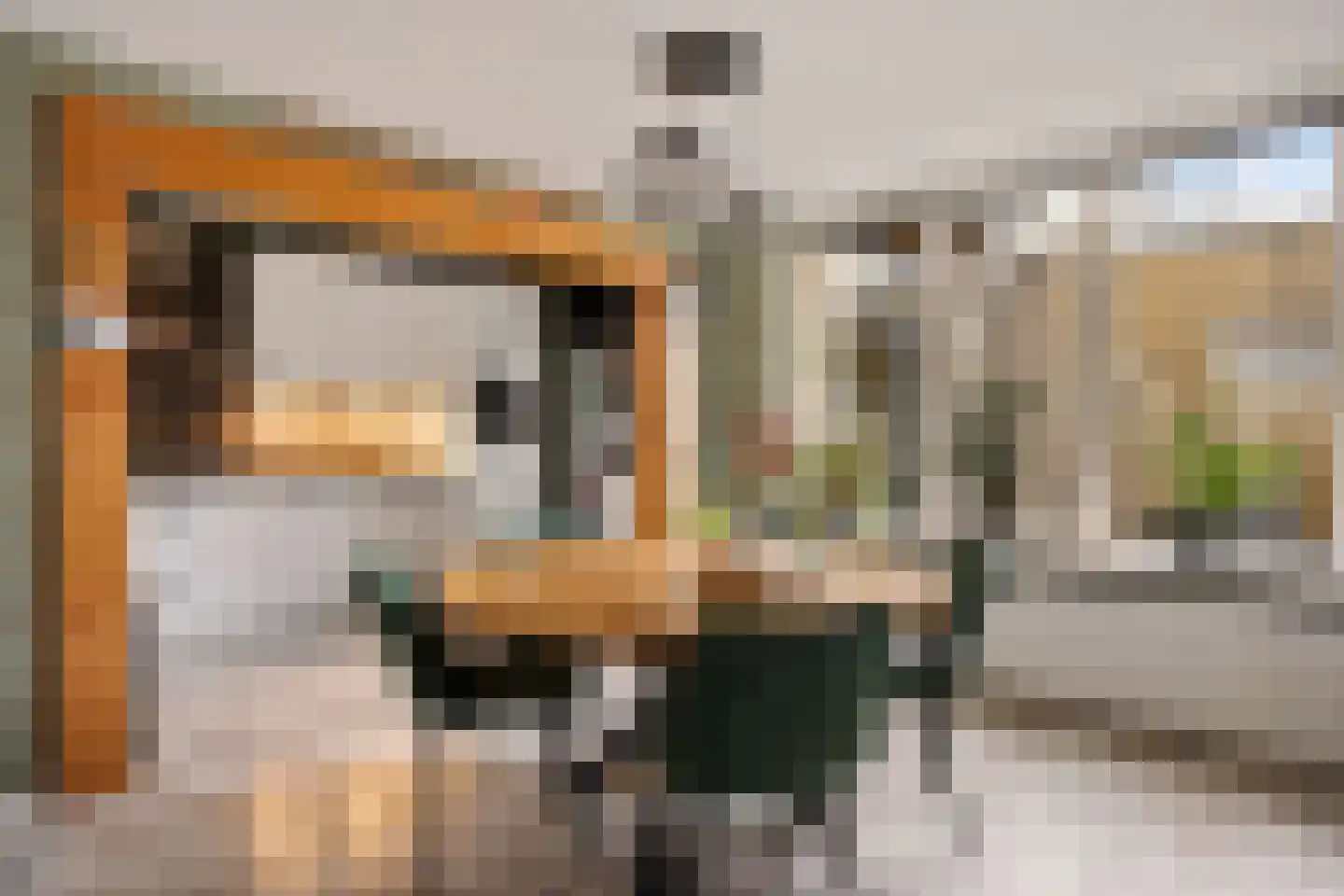 E E G laan 9 Coevorden thumbnail 11