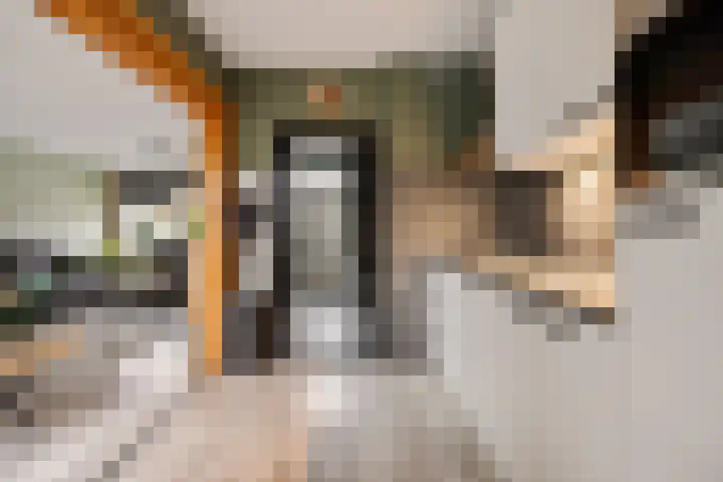 E E G laan 9 Coevorden thumbnail 13