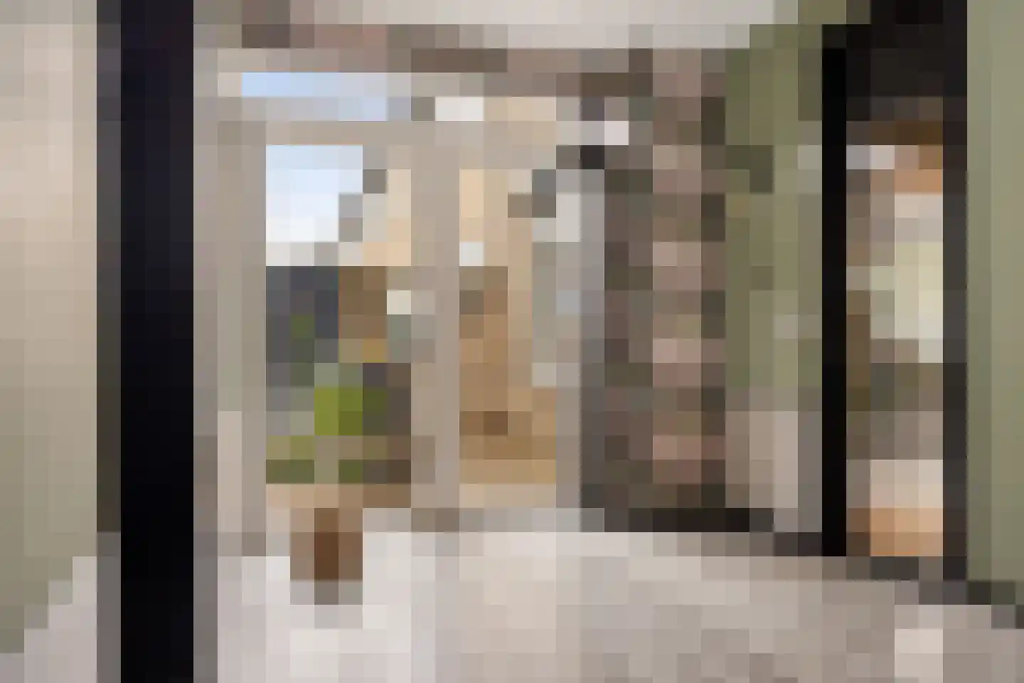 E E G laan 9 Coevorden thumbnail 14
