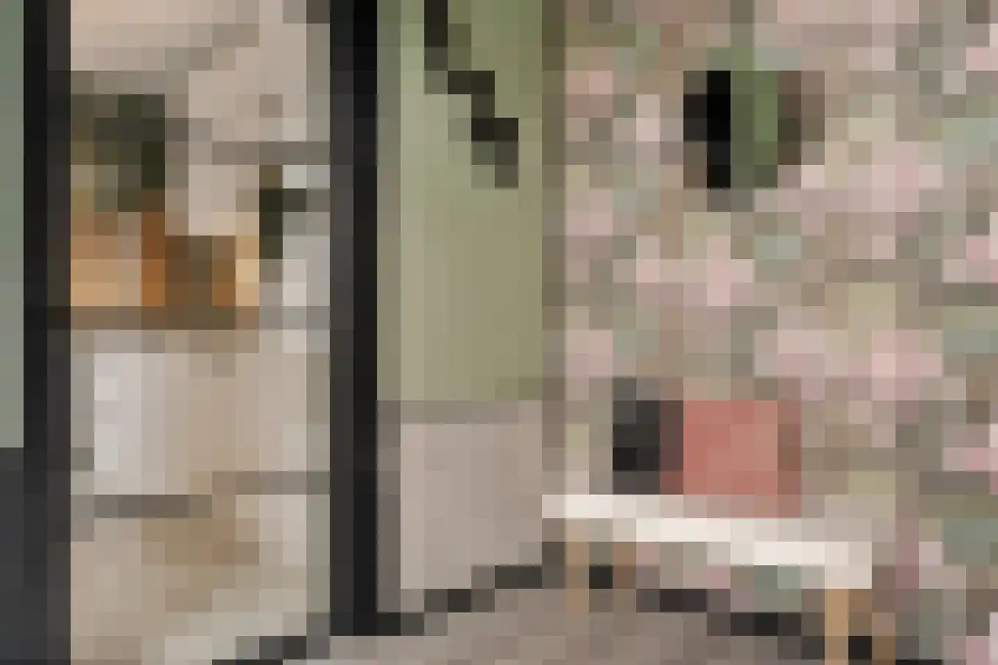 E E G laan 9 Coevorden thumbnail 15