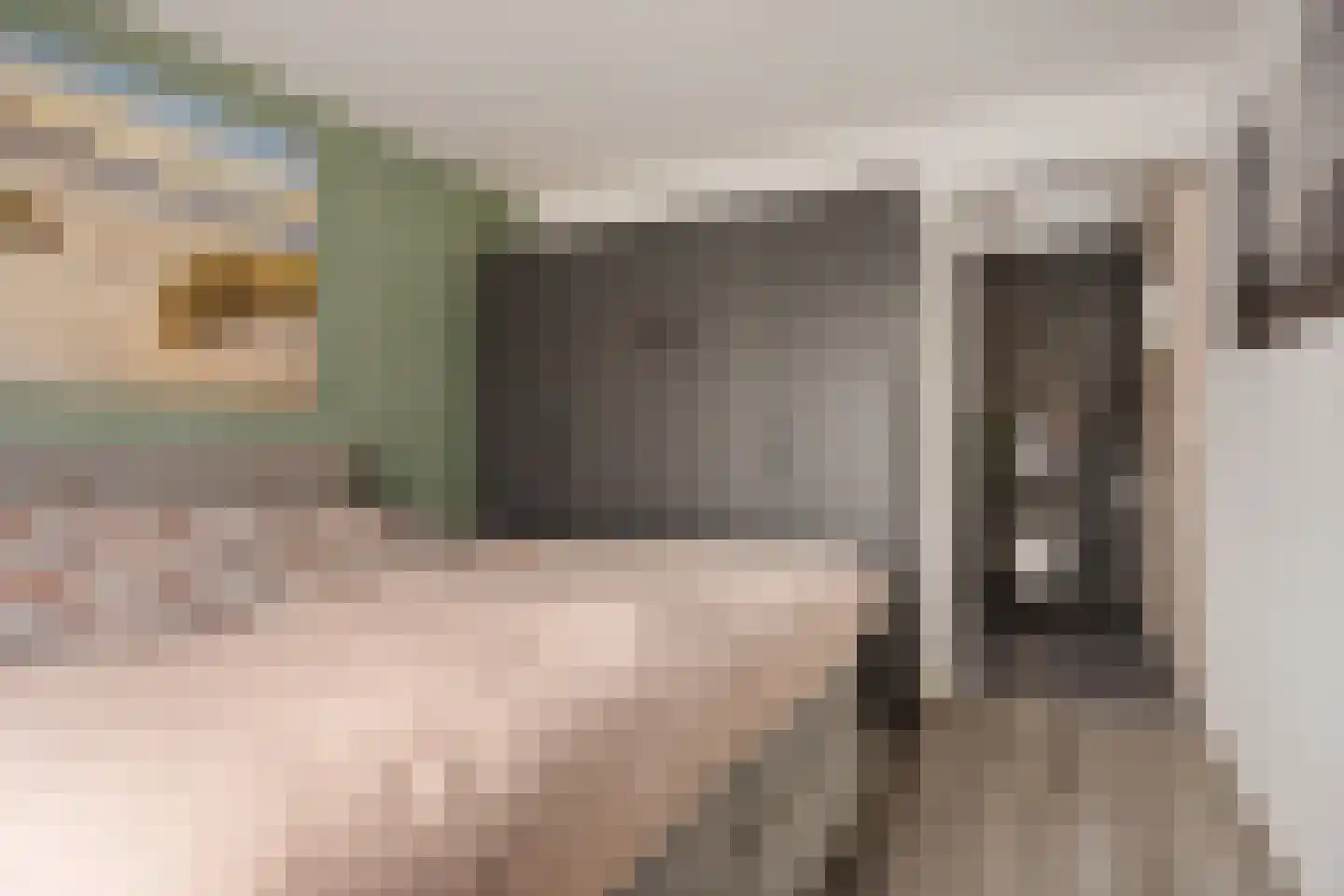 E E G laan 9 Coevorden thumbnail 17