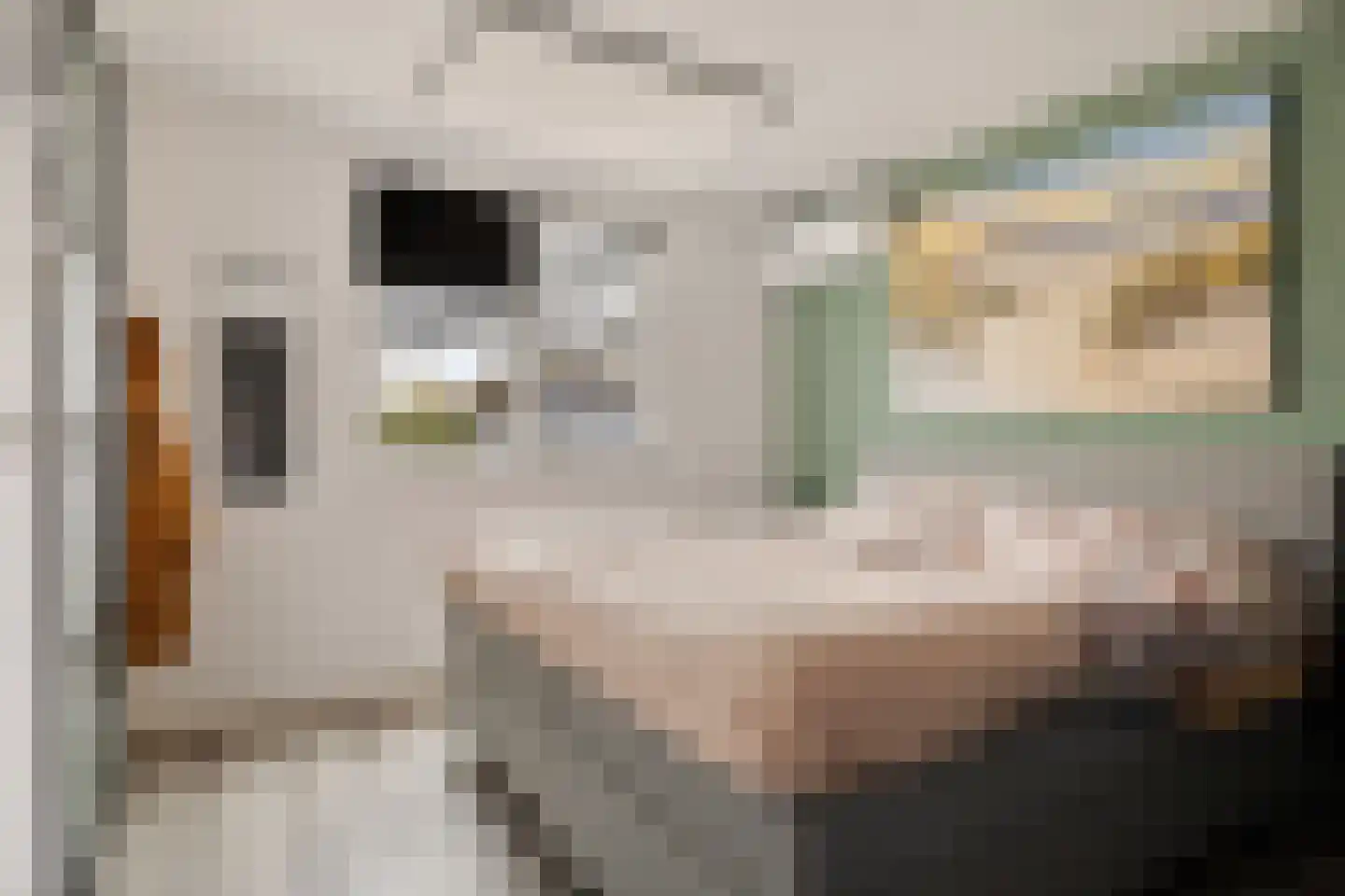 E E G laan 9 Coevorden thumbnail 18