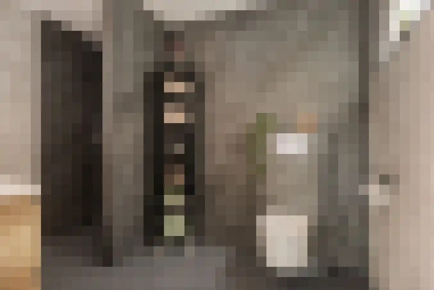 E E G laan 9 Coevorden thumbnail 19