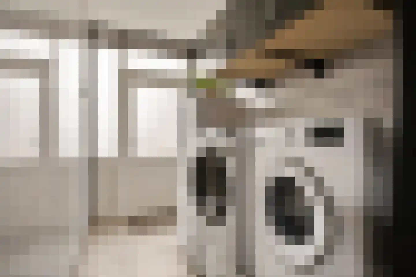 E E G laan 9 Coevorden thumbnail 22