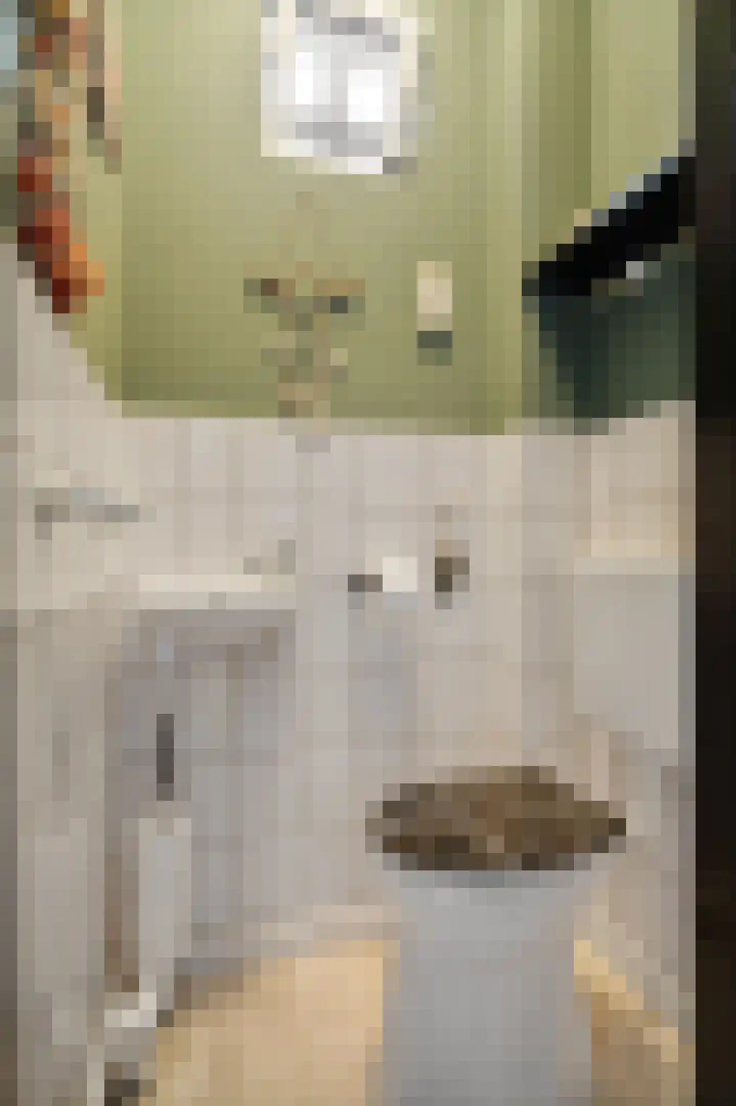 E E G laan 9 Coevorden thumbnail 23