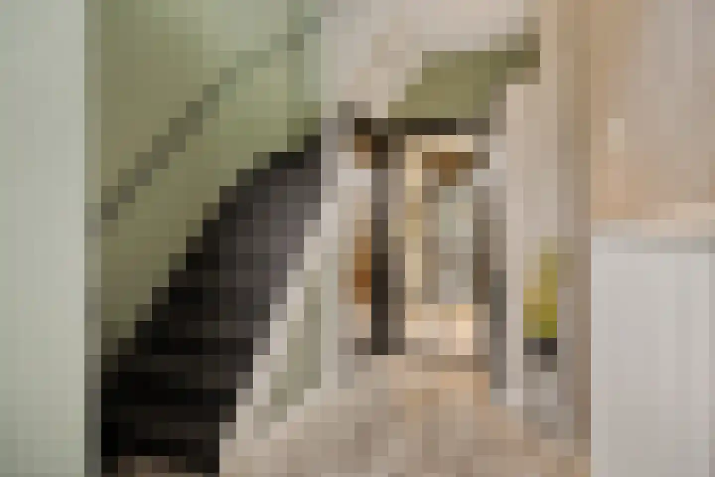 E E G laan 9 Coevorden thumbnail 24