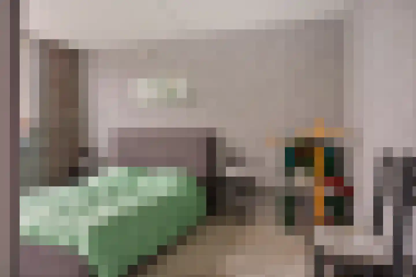 E E G laan 9 Coevorden thumbnail 25