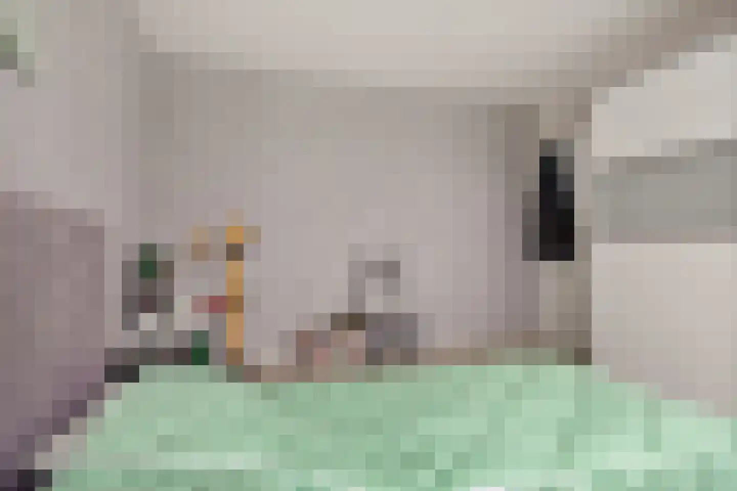 E E G laan 9 Coevorden thumbnail 27