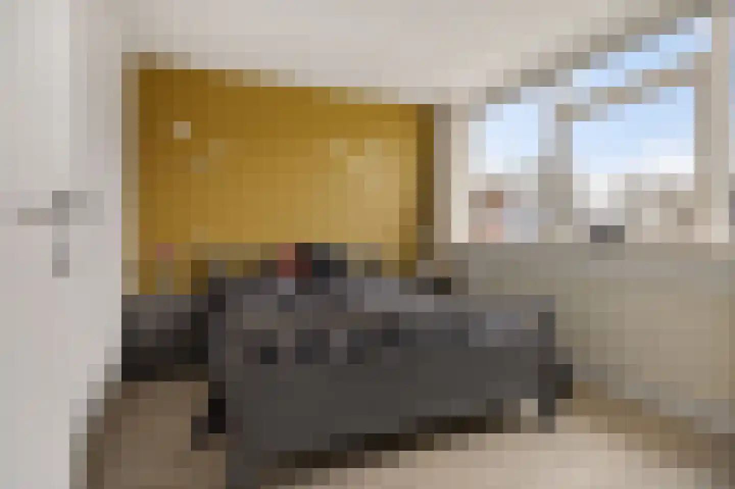 E E G laan 9 Coevorden thumbnail 28