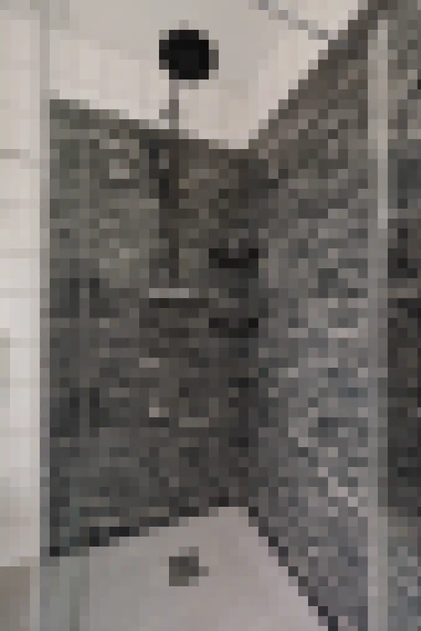 E E G laan 9 Coevorden thumbnail 33