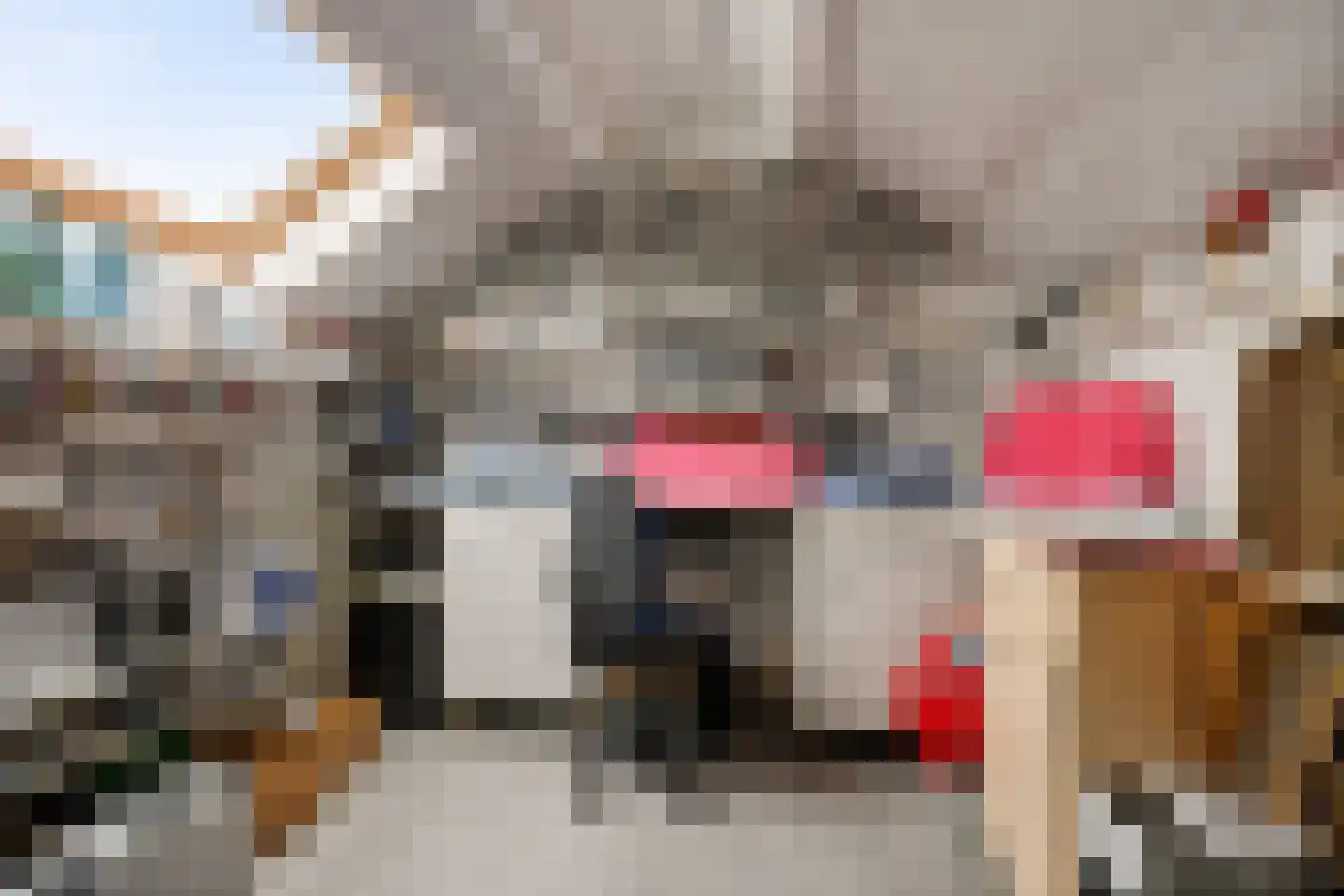 E E G laan 9 Coevorden thumbnail 37
