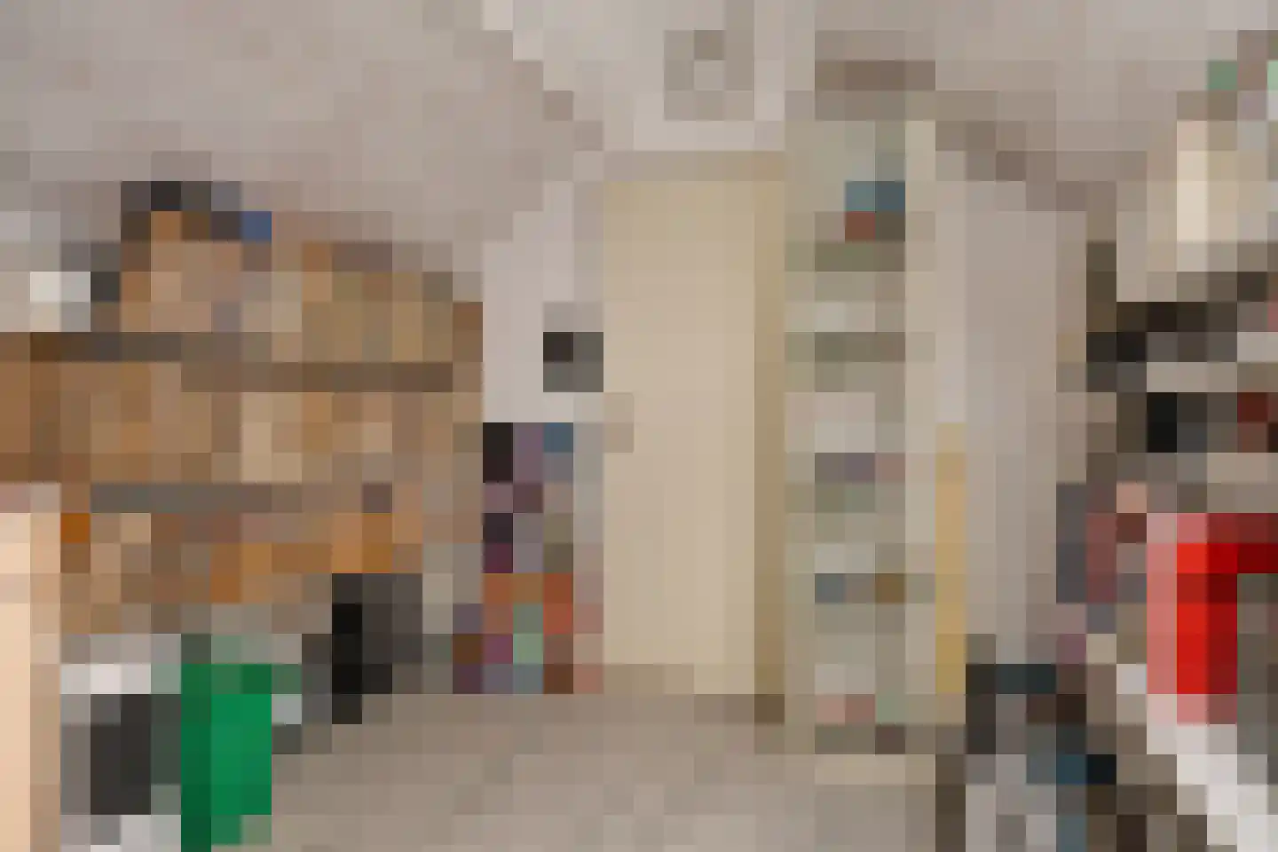 E E G laan 9 Coevorden thumbnail 38