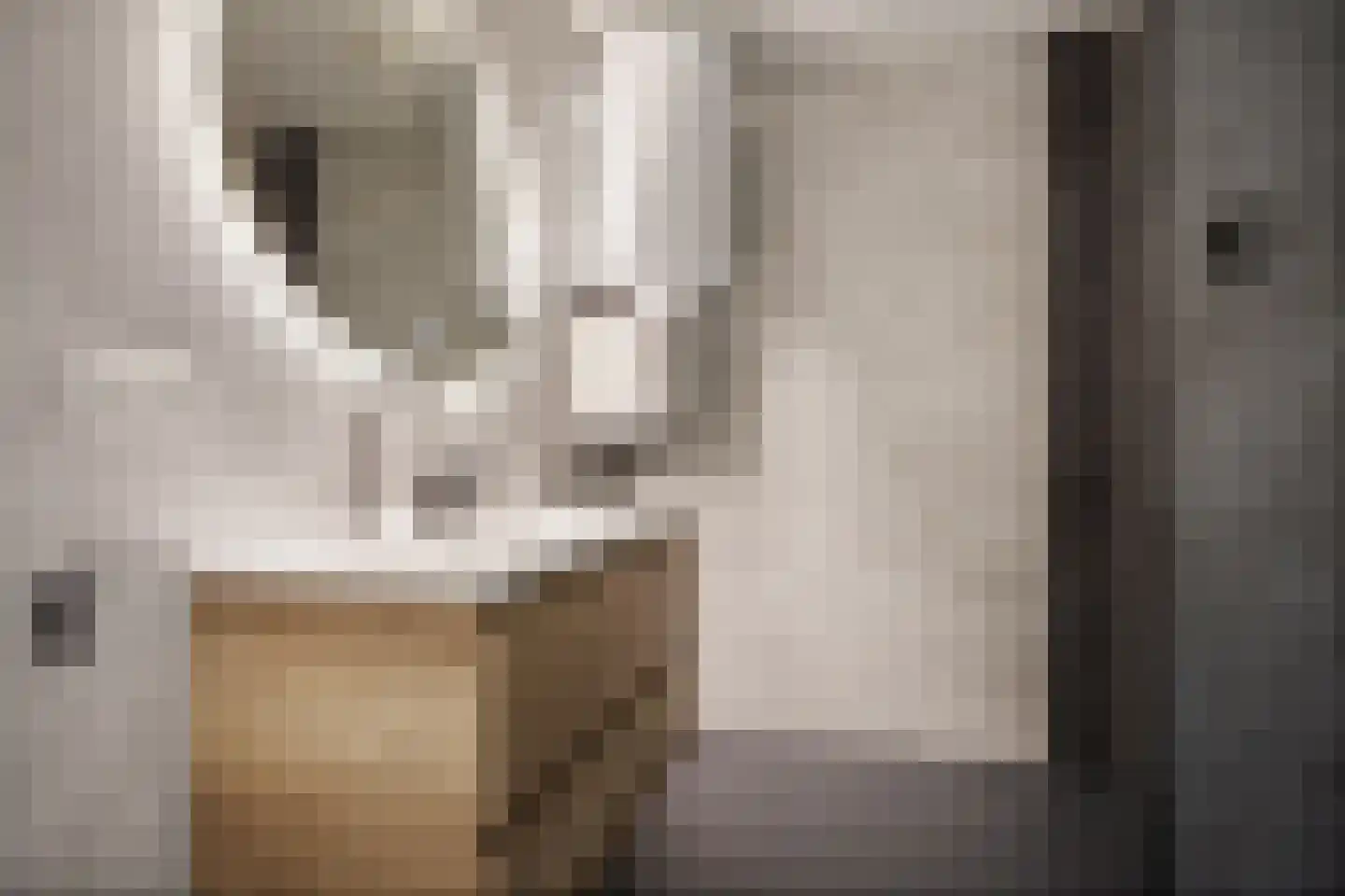 E E G laan 9 Coevorden thumbnail 4