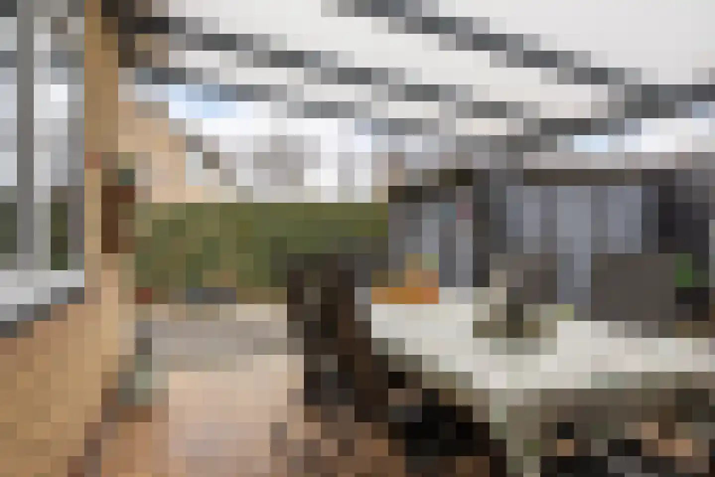 E E G laan 9 Coevorden thumbnail 40