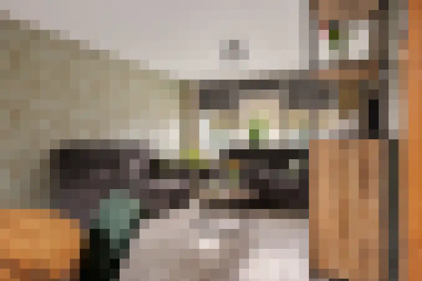 E E G laan 9 Coevorden thumbnail 6