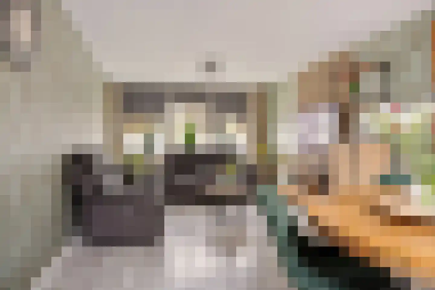 E E G laan 9 Coevorden thumbnail 7