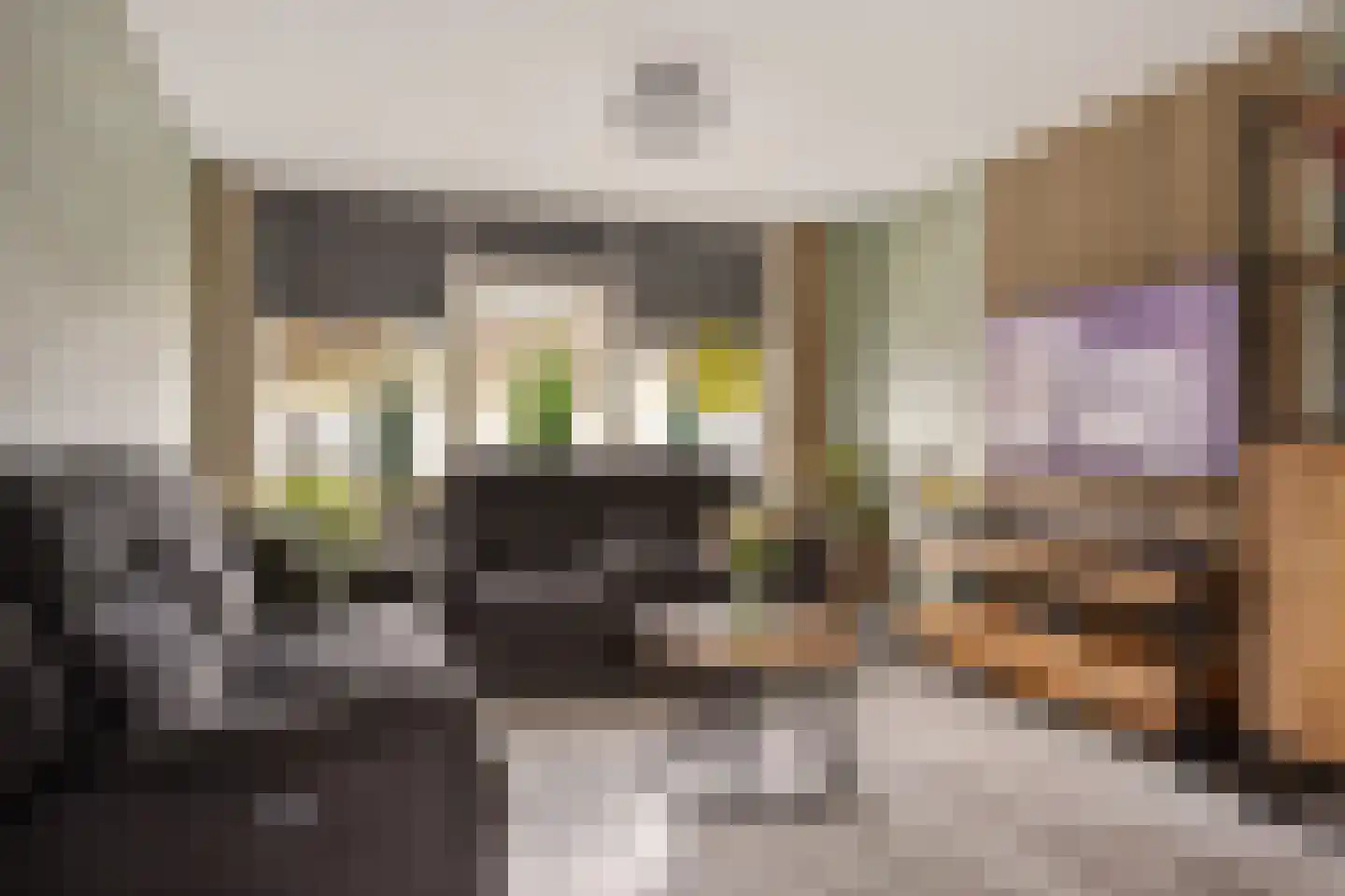 E E G laan 9 Coevorden thumbnail 8