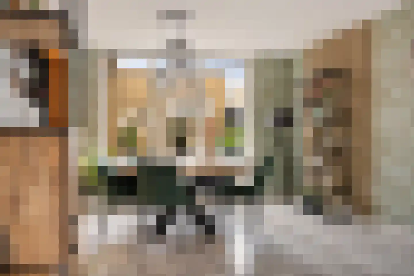 E E G laan 9 Coevorden thumbnail 9