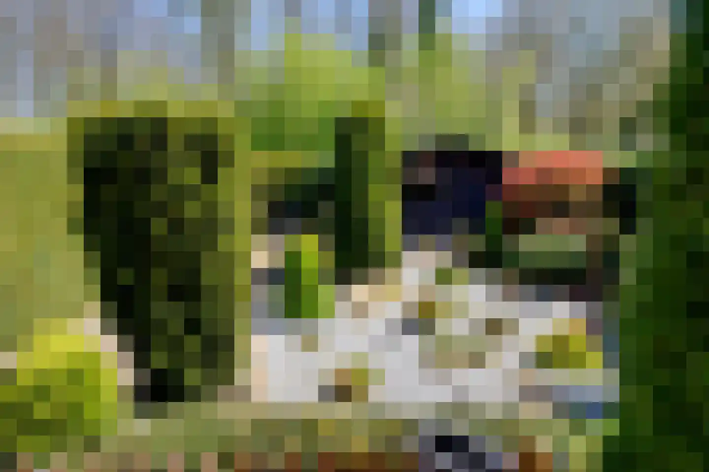 E.E.Napweg 48 Finsterwolde thumbnail 27