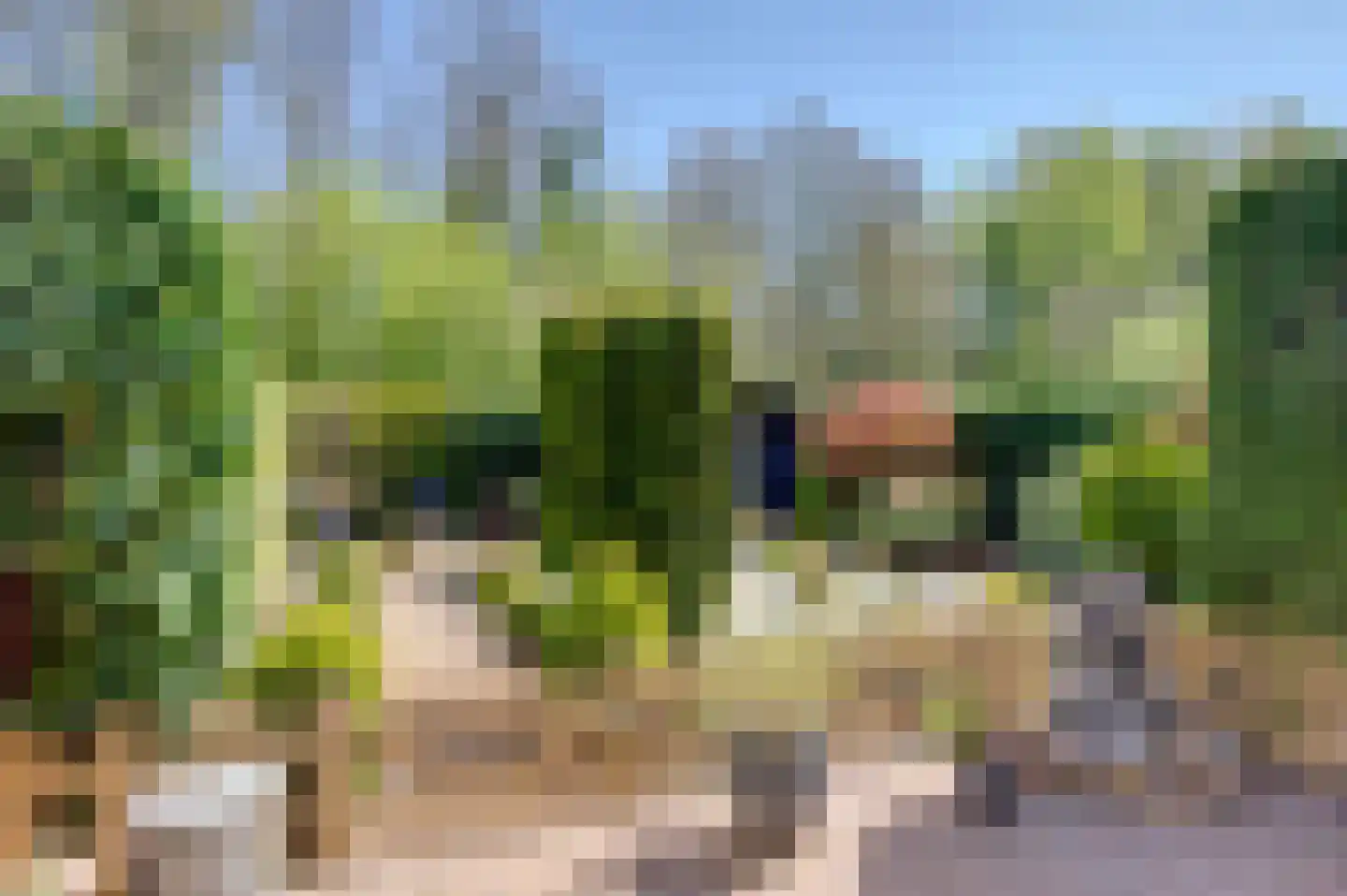 E.E.Napweg 48 Finsterwolde thumbnail 6