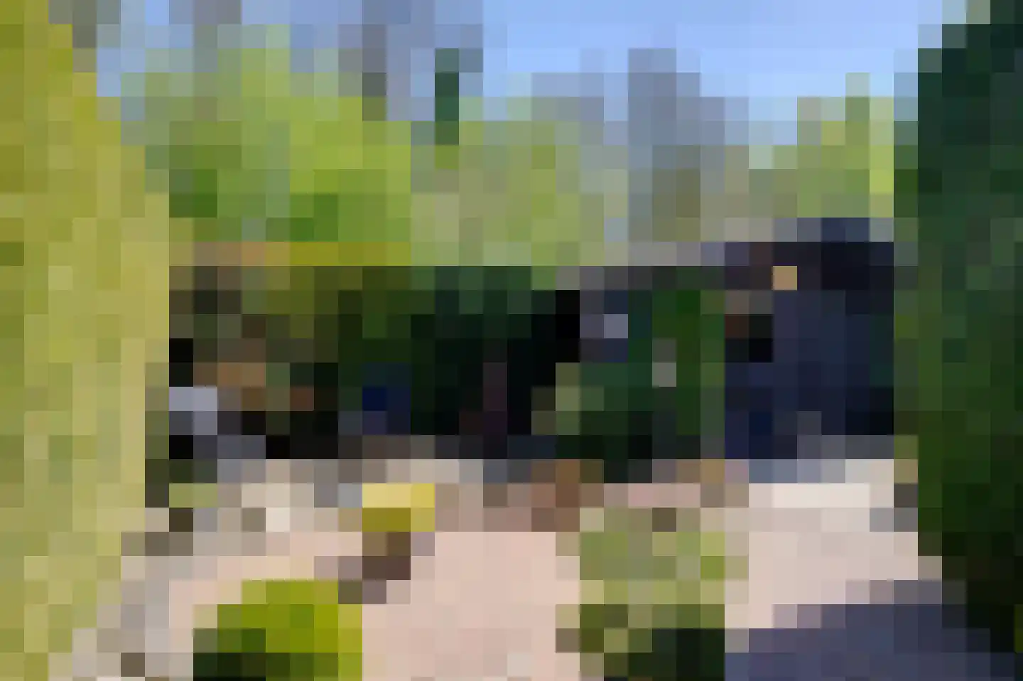 E.E.Napweg 48 Finsterwolde thumbnail 8