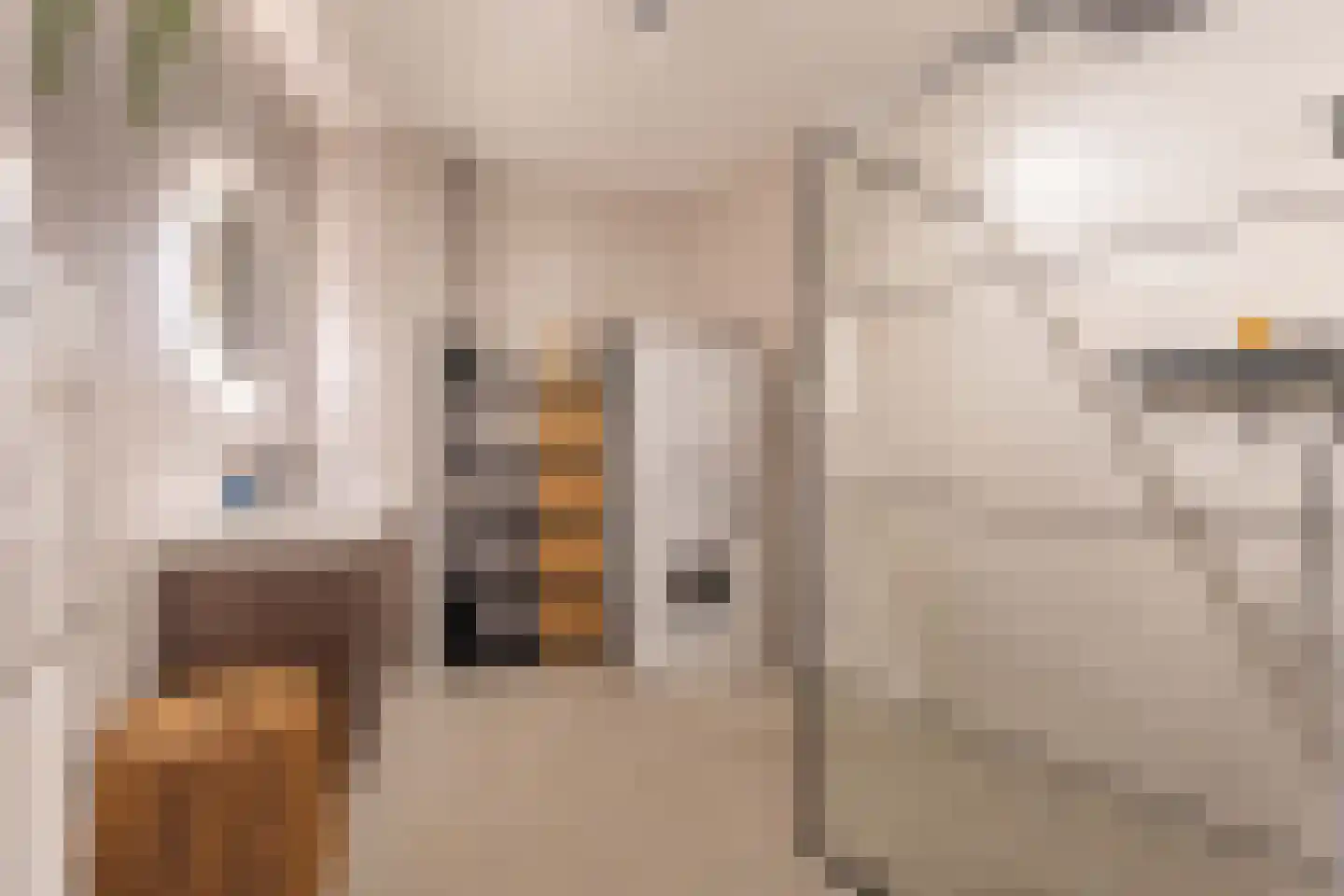 E.E. van der Laanstraat 21 Rijnsburg thumbnail 14