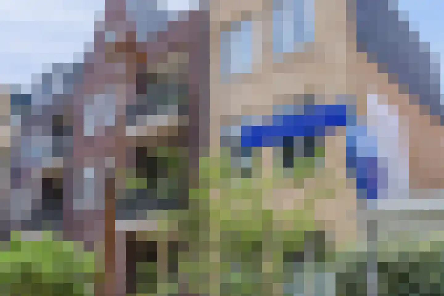 E.E. van der Laanstraat 28 Rijnsburg thumbnail 40