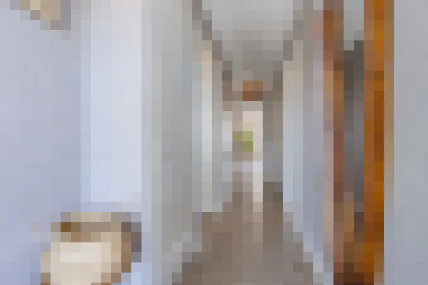 E.E. van der Laanstraat 28 Rijnsburg thumbnail 5