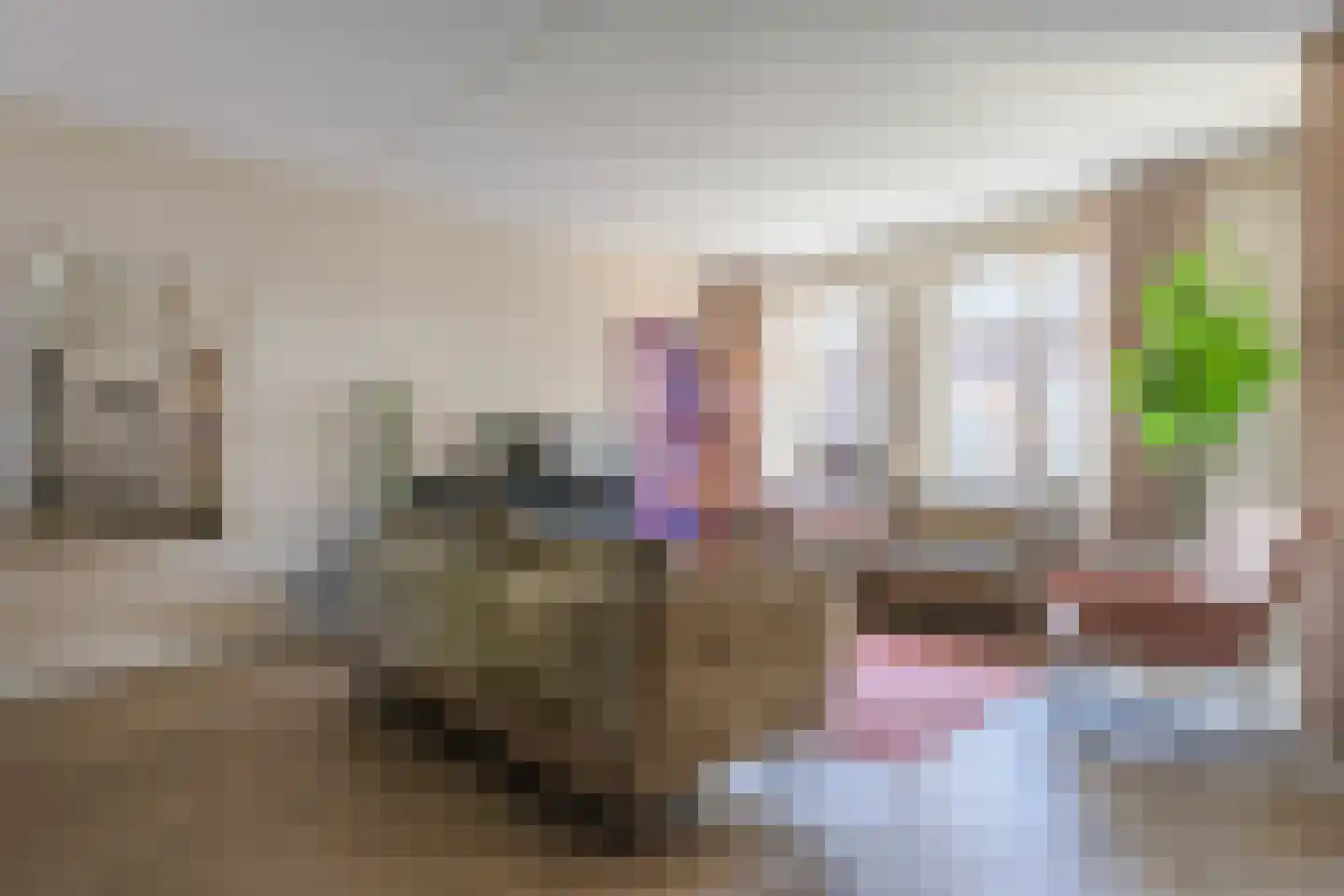 E.E. van der Laanstraat 28 Rijnsburg thumbnail 8
