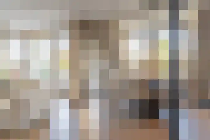 E.E. van der Laanstraat 63 Rijnsburg foto 2