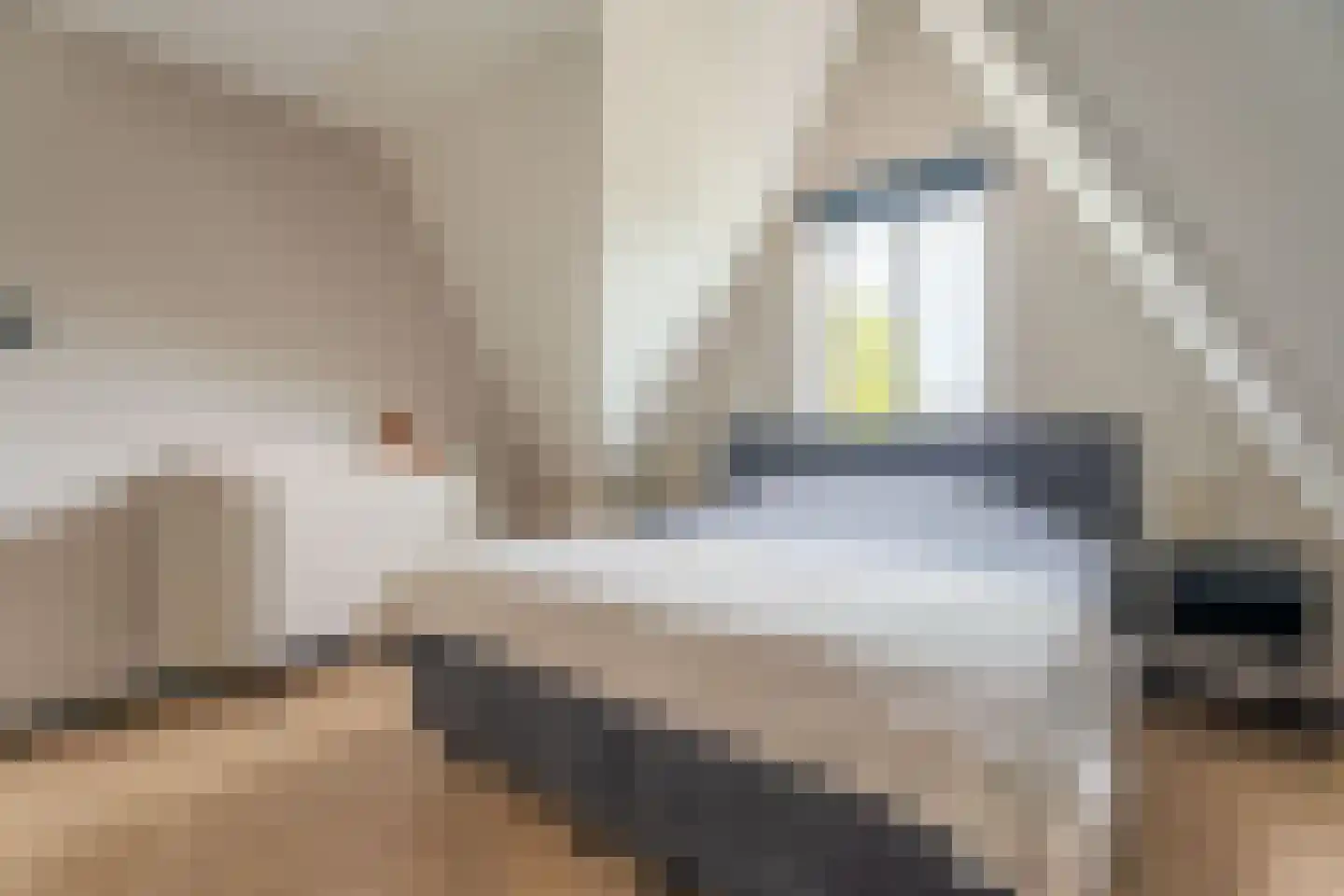 E.E. van der Laanstraat 65 Rijnsburg thumbnail 11