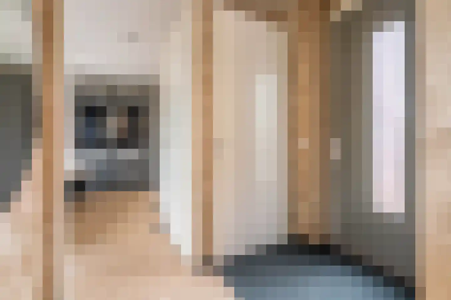 E.E. van der Laanstraat 65 Rijnsburg thumbnail 14