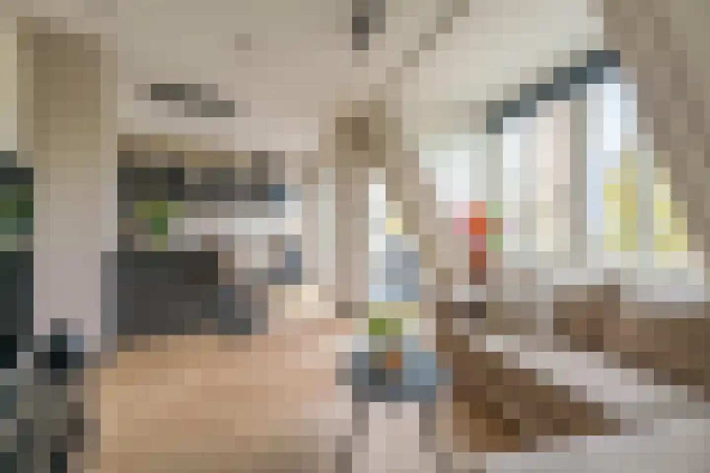 E.E. van der Laanstraat 65 Rijnsburg thumbnail 5