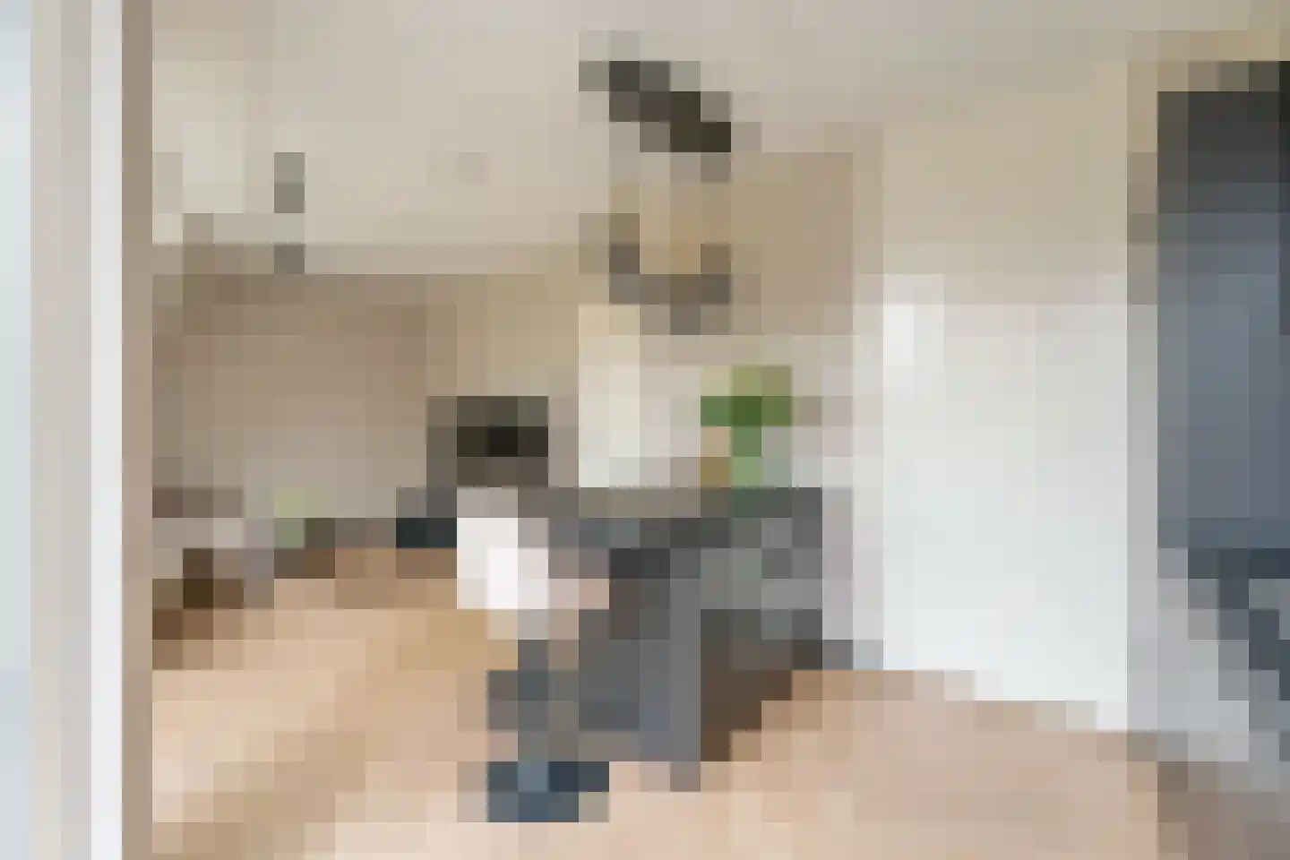 E.E. van der Laanstraat 65 Rijnsburg thumbnail 8