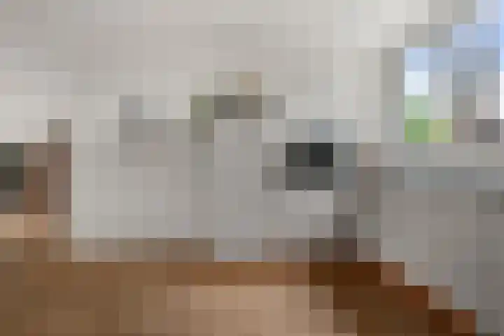 E.F. van den Banweg 73 Almere thumbnail 16