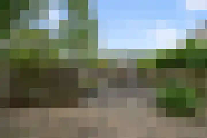 E.F. van den Banweg 73 Almere thumbnail 30